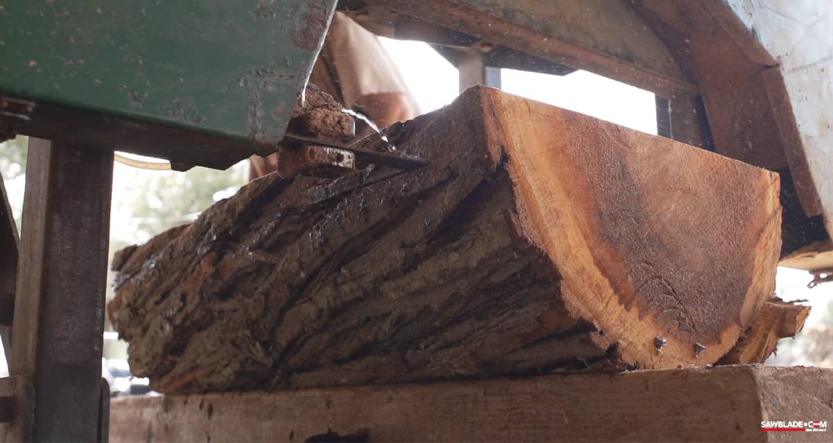 Qsaw 910CT Wood Carbide Blade in action